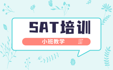 广州南沙威学一百SAT课程