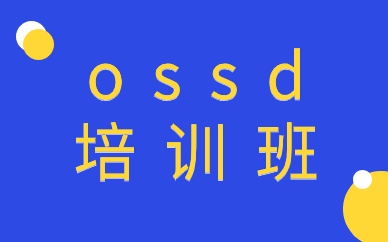 北京朝阳北美OSSD寒假班